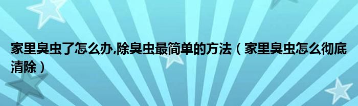 家里臭虫了怎么办,除臭虫最简单的方法（家里臭虫怎么彻底清除）