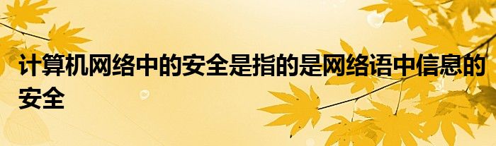 计算机网络中的安全是指的是网络语中信息的安全