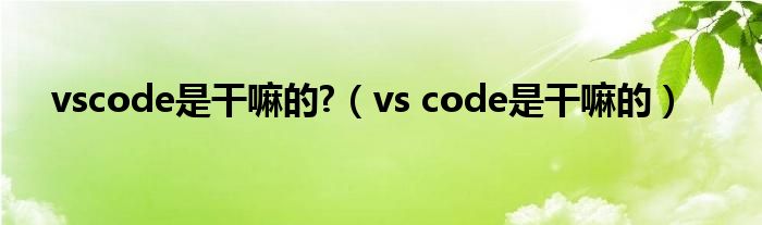 vscode是干嘛的?（vs code是干嘛的）