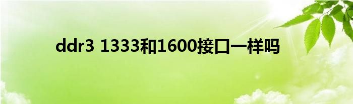 ddr3 1333和1600接口一样吗