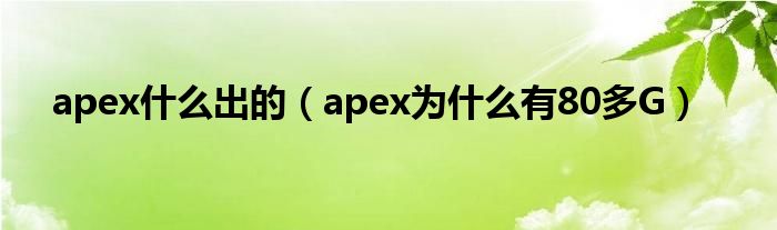 apex什么出的（apex为什么有80多G）