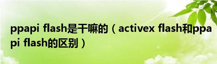 ppapi flash是干嘛的（activex flash和ppapi flash的区别）