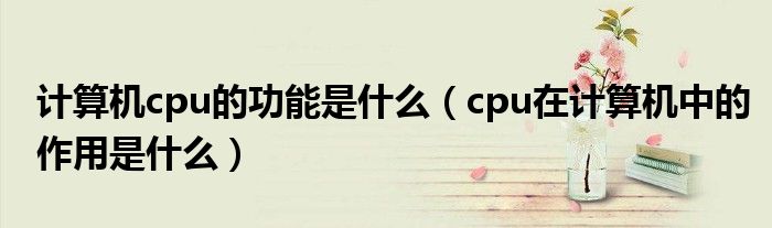 计算机cpu的功能是什么（cpu在计算机中的作用是什么）