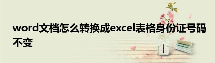 word文档怎么转换成excel表格身份证号码不变