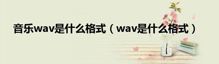 音乐wav是什么格式（wav是什么格式）