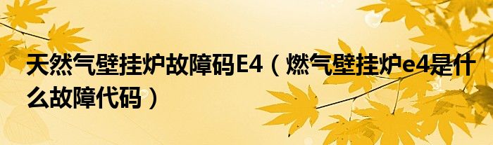 天然气壁挂炉故障码E4（燃气壁挂炉e4是什么故障代码）