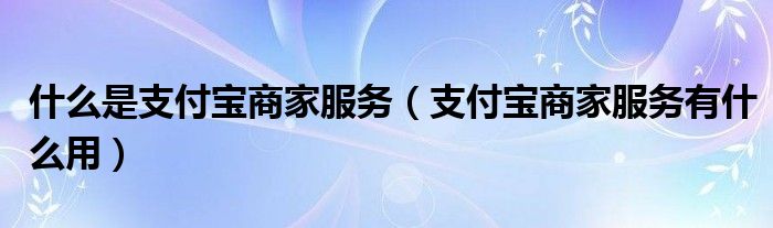 什么是支付宝商家服务（支付宝商家服务有什么用）