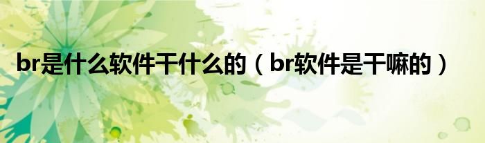 br是什么软件干什么的（br软件是干嘛的）