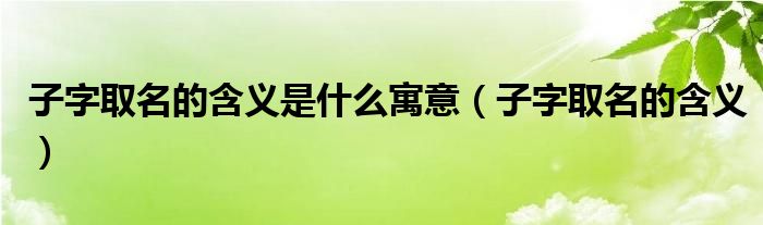 子字取名的含义是什么寓意（子字取名的含义）