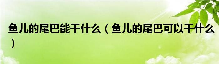 鱼儿的尾巴能干什么（鱼儿的尾巴可以干什么）