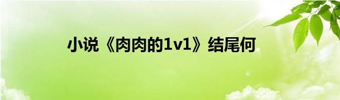 小说《肉肉的1v1》结尾何