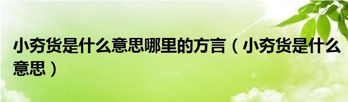 小夯货是什么意思哪里的方言（小夯货是什么意思）