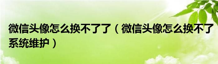 微信头像怎么换不了了（微信头像怎么换不了系统维护）