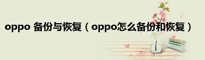 oppo 备份与恢复（oppo怎么备份和恢复）