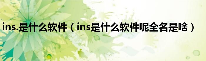 ins.是什么软件（ins是什么软件呢全名是啥）