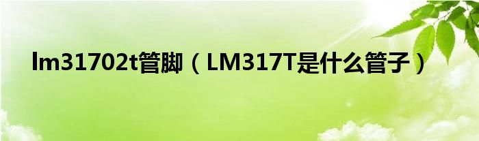 lm31702t管脚（LM317T是什么管子）