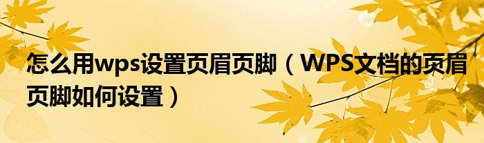 怎么用wps设置页眉页脚（WPS文档的页眉页脚如何设置）