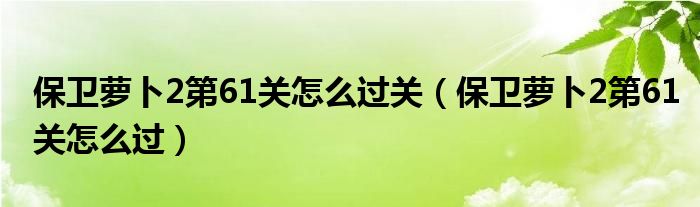 保卫萝卜2第61关怎么过关（保卫萝卜2第61关怎么过）