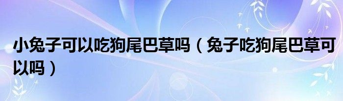 小兔子可以吃狗尾巴草吗（兔子吃狗尾巴草可以吗）