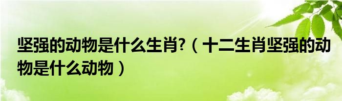 坚强的动物是什么生肖?（十二生肖坚强的动物是什么动物）