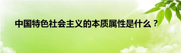 中国特色社会主义的本质属性是什么？