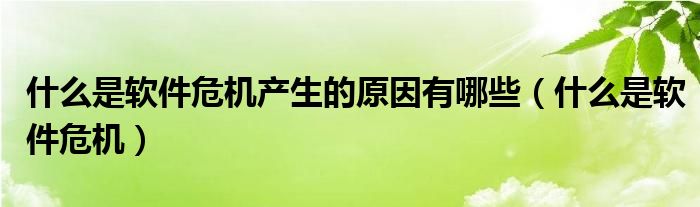 什么是软件危机产生的原因有哪些（什么是软件危机）