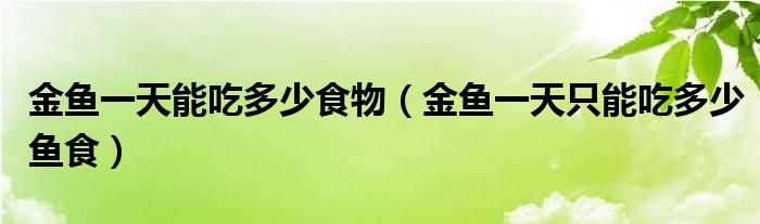 金鱼一天能吃多少食物（金鱼一天只能吃多少鱼食）