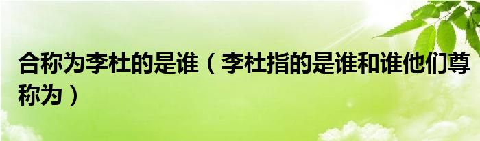 合称为李杜的是谁（李杜指的是谁和谁他们尊称为）