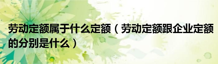 劳动定额属于什么定额（劳动定额跟企业定额的分别是什么）