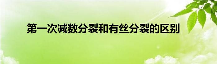 第一次减数分裂和有丝分裂的区别