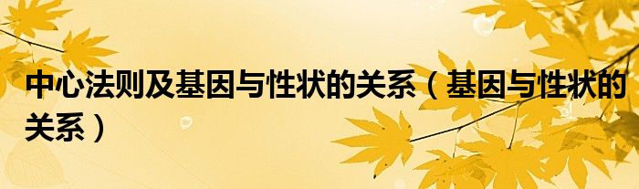 中心法则及基因与性状的关系（基因与性状的关系）