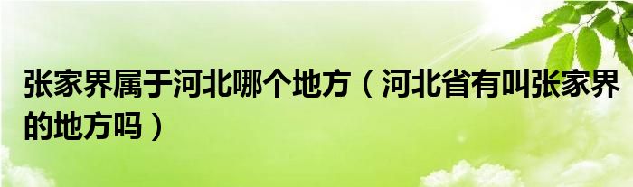 张家界属于河北哪个地方（河北省有叫张家界的地方吗）