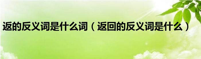 返的反义词是什么词（返回的反义词是什么）