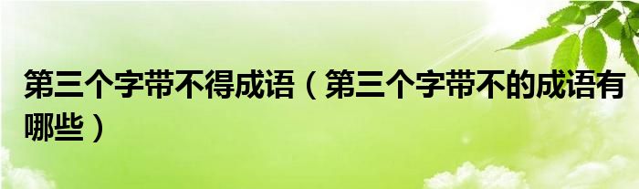 第三个字带不得成语（第三个字带不的成语有哪些）