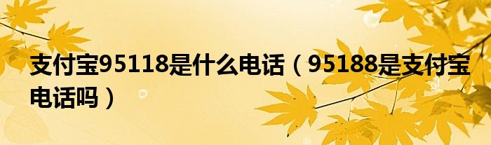 支付宝95118是什么电话（95188是支付宝电话吗）