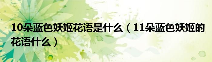 10朵蓝色妖姬花语是什么（11朵蓝色妖姬的花语什么）