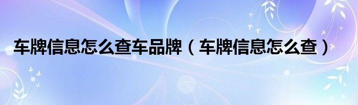 车牌信息怎么查车品牌（车牌信息怎么查）