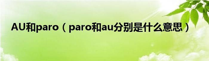 AU和paro（paro和au分别是什么意思）