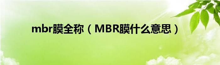 mbr膜全称（MBR膜什么意思）