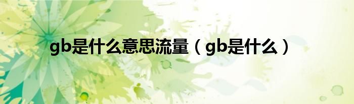 gb是什么意思流量（gb是什么）