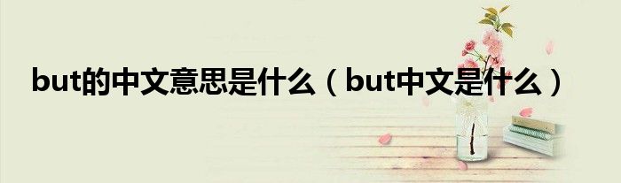 but的中文意思是什么（but中文是什么）