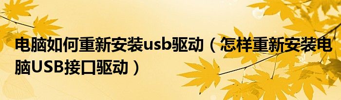 电脑如何重新安装usb驱动（怎样重新安装电脑USB接口驱动）