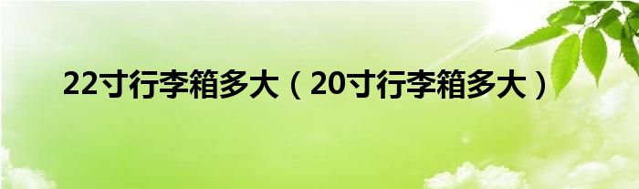 22寸行李箱多大（20寸行李箱多大）