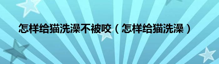 怎样给猫洗澡不被咬（怎样给猫洗澡）