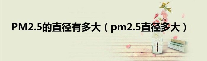 PM2.5的直径有多大（pm2.5直径多大）