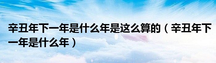 辛丑年下一年是什么年是这么算的（辛丑年下一年是什么年）