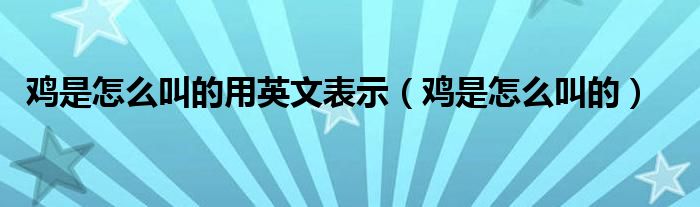 鸡是怎么叫的用英文表示（鸡是怎么叫的）