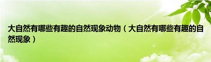 大自然有哪些有趣的自然现象动物（大自然有哪些有趣的自然现象）