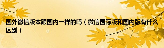 国外微信版本跟国内一样的吗（微信国际版和国内版有什么区别）