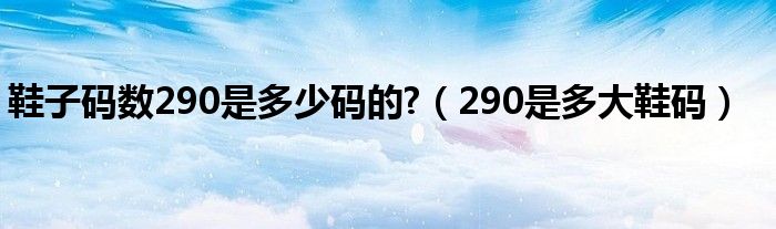 鞋子码数290是多少码的?（290是多大鞋码）